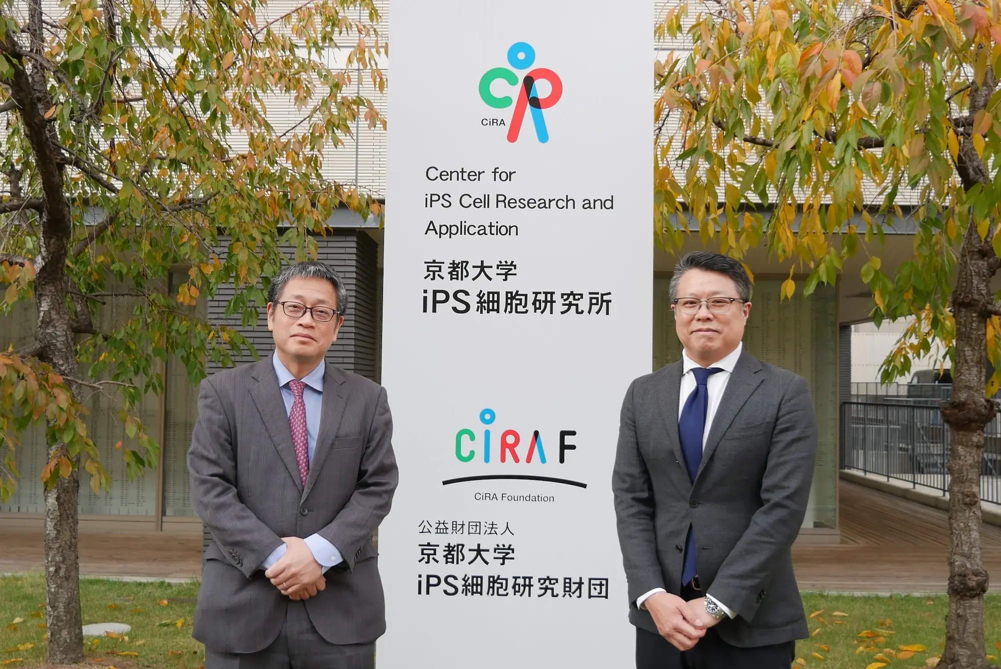 CiRA長船先生インタビュー【後編】 iPS細胞で腎臓を「治す」ために～リジェネフロと日機装が拓く再生医療の未来～